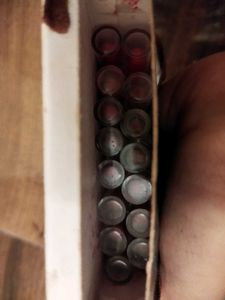 Just Herbs Mini Lipsticks Set