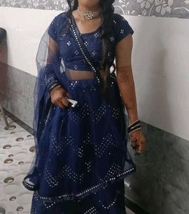 Blue Embellished Lehenga Choli