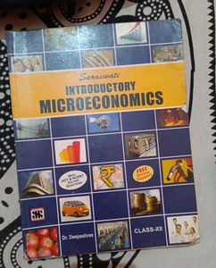 Introductory Microeconomics Class XII