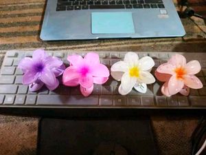 Flower Hair Clips - Set of 4