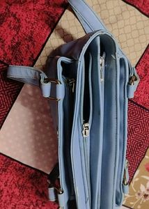Beautiful Woman Handbag