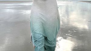 Elegant Maxi Dress