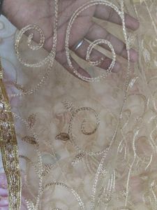 Elegant Embroidered Dupatta