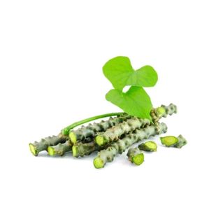 Giloy Natural Plants