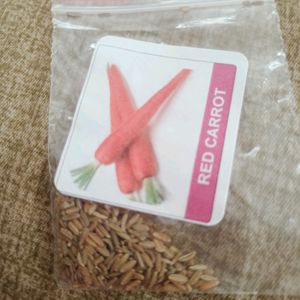 Vegetable Seeds
