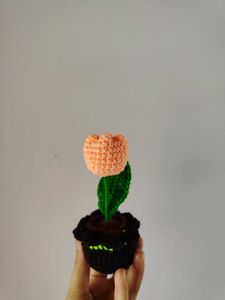 Crochet Tulip Pot