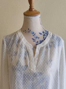 Elegant  Off- White Sheer Blouse EXPRESS