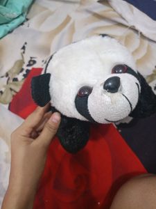 Cute Panda Softoy