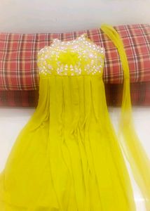 Elegant Embroidered Dress