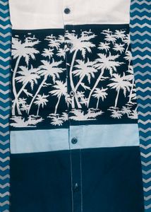 Slim Fit White Button Down