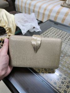 Ladies Fancy Clutch