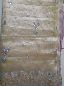 Cream Zardosi Work Saree