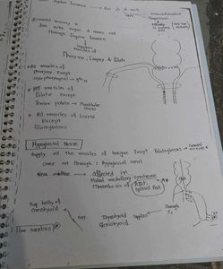 Anatomy Hand Made Photocopy Notes