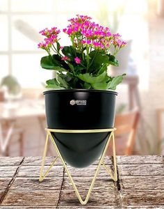SET OF TWO Black Metal Planter With Gold Stand