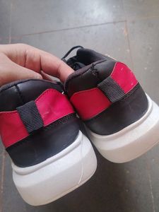 Men Sneakers