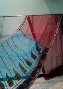 Grand Netted Saree