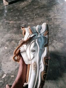 White &amp; Brown Casual Sneakers