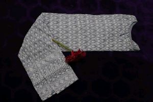 Elegant Kurta Set