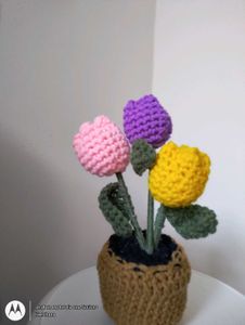 Tulip Buds Crochet Flower Pot