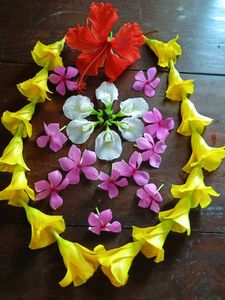 Combo Four Flowers Plants