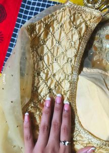 Golden Pearl Design Blouse Soft  Net Sleeves 💗🪷