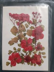 Pressed Flower Art Card