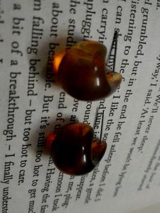 Amber Resin Earrings