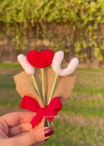 Crochet Valentine Day Special