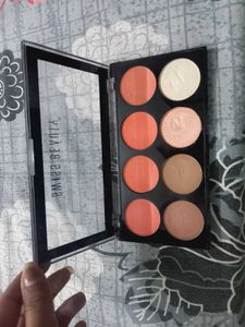SWISS BEAUTY Palette + MAC Loose Powder