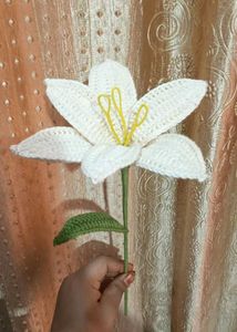 Crochet Lily