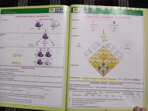 Bioimagica Textbook