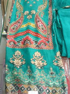 Elegant Salwar Suit (Hidden Minor Issue)