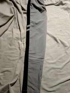 Grey color Lower
