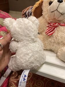 Cute Plush Teddy Bear Trio