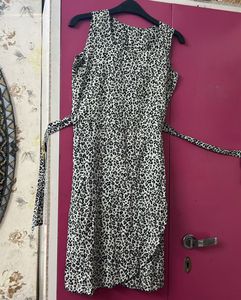 Leopard Print Dress