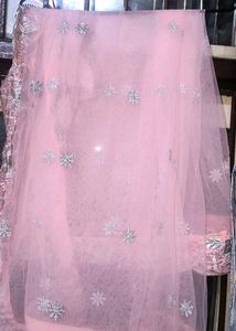 Pink &amp; Silver Embellished Gown