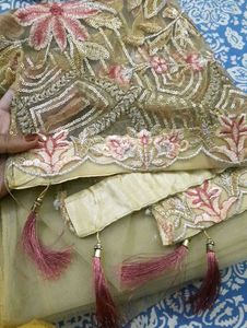 Beautiful 🤩 Pakistani Embroided Suit