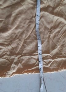 Cream Color Palazzo