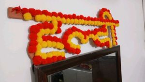 HALDI PALLET