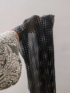 Shawl/Scarf/ Duppata