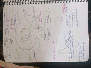 Class 10 Biology Detailed Notes!