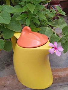 Tea Kettle