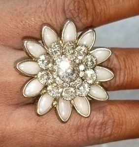 Earrings, Bracelet, Finger Ring, Cleaning Wipes