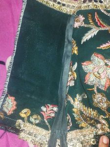 Elegant Green Lehenga