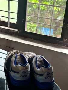 Running Shoes ( Unisex)