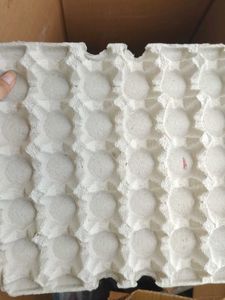 Egg Crate Tray Pack Of 20
