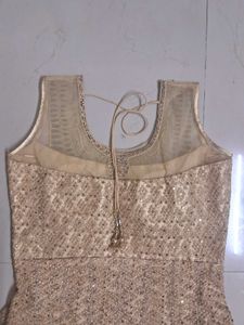 Elegant Ethnic Gown