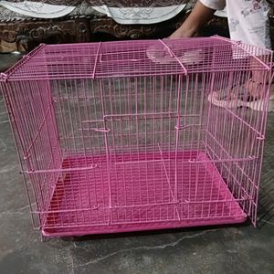 Cage