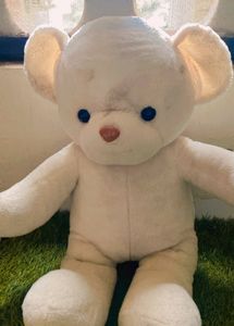 Taddy Bear Soft Toy