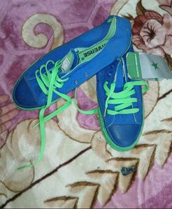 ALLSTAR Converse Sneaker 👟 - Blue &amp; Green